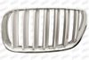 BMW 51113420089 Radiator Grille